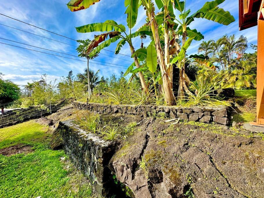 Puna Zen Botanical Garden Retreat Keaau Dış mekan fotoğraf