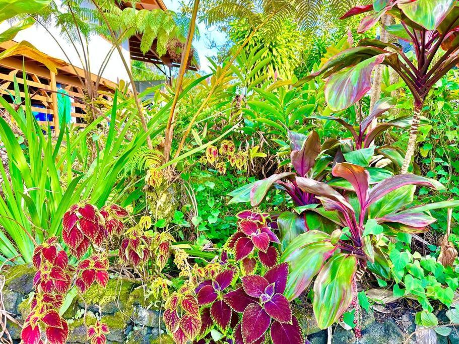Puna Zen Botanical Garden Retreat Keaau Dış mekan fotoğraf